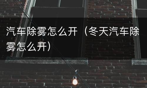 汽车除雾怎么开（冬天汽车除雾怎么开）