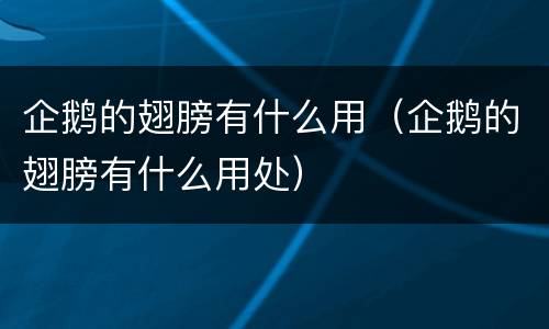 企鹅的翅膀有什么用（企鹅的翅膀有什么用处）
