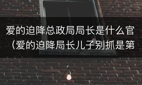爱的迫降总政局局长是什么官（爱的迫降局长儿子别抓是第几集）