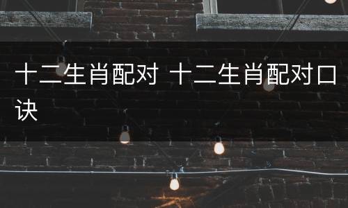 十二生肖配对 十二生肖配对口诀