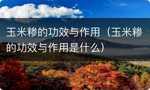 玉米糁的功效与作用（玉米糁的功效与作用是什么）