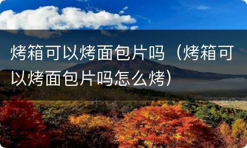 烤箱可以烤面包片吗（烤箱可以烤面包片吗怎么烤）