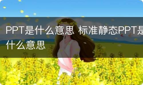 PPT是什么意思 标准静态PPT是什么意思