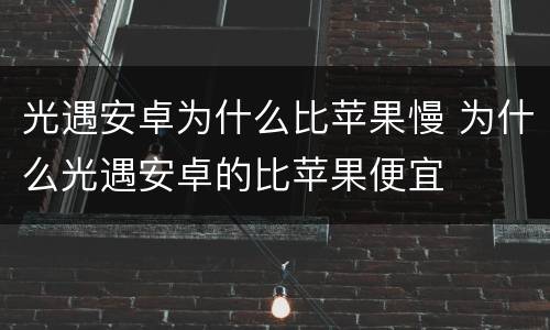 光遇安卓为什么比苹果慢 为什么光遇安卓的比苹果便宜