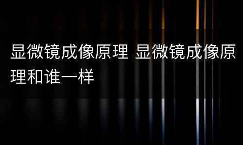 显微镜成像原理 显微镜成像原理和谁一样