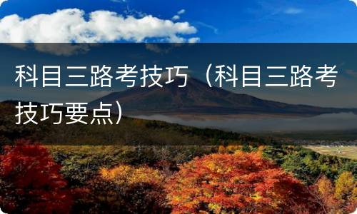 科目三路考技巧（科目三路考技巧要点）