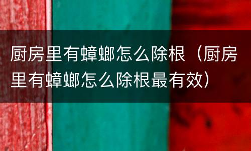 厨房里有蟑螂怎么除根（厨房里有蟑螂怎么除根最有效）