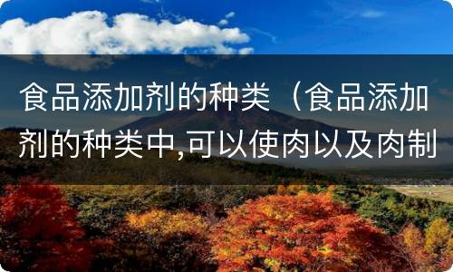 食品添加剂的种类（食品添加剂的种类中,可以使肉以及肉制品）