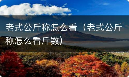 老式公斤称怎么看（老式公斤称怎么看斤数）
