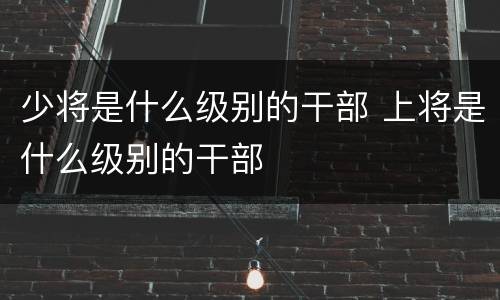 少将是什么级别的干部 上将是什么级别的干部