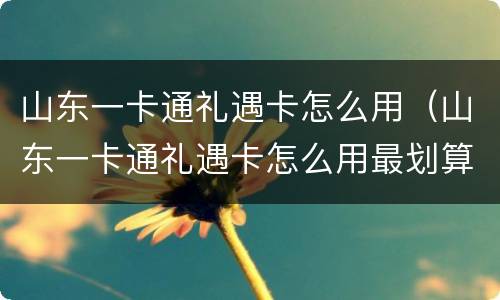 山东一卡通礼遇卡怎么用（山东一卡通礼遇卡怎么用最划算）