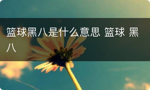 篮球黑八是什么意思 篮球 黑八
