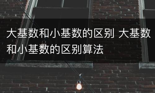 大基数和小基数的区别 大基数和小基数的区别算法