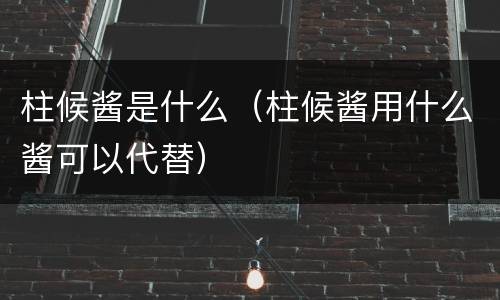 柱候酱是什么（柱候酱用什么酱可以代替）