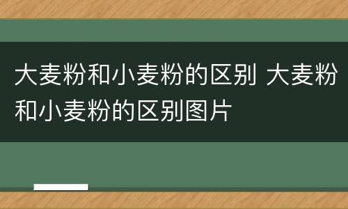 大麦粉和小麦粉的区别 大麦粉和小麦粉的区别图片