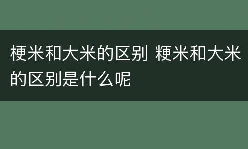 梗米和大米的区别 粳米和大米的区别是什么呢