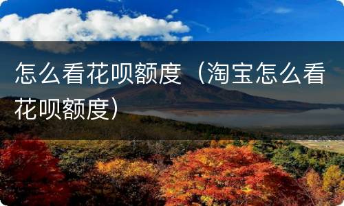 怎么看花呗额度（淘宝怎么看花呗额度）