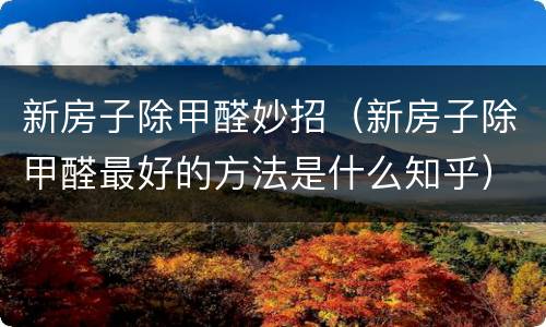 新房子除甲醛妙招（新房子除甲醛最好的方法是什么知乎）