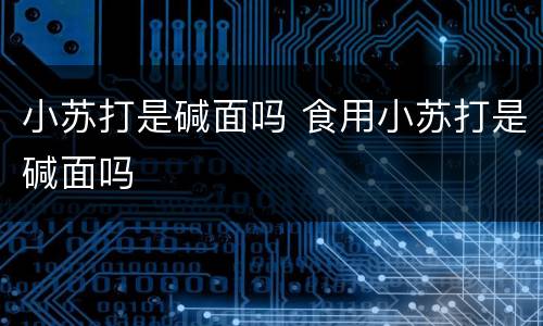 小苏打是碱面吗 食用小苏打是碱面吗