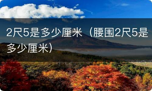 2尺5是多少厘米（腰围2尺5是多少厘米）