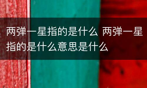 两弹一星指的是什么 两弹一星指的是什么意思是什么