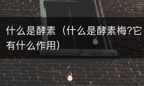 什么是酵素（什么是酵素梅?它有什么作用）