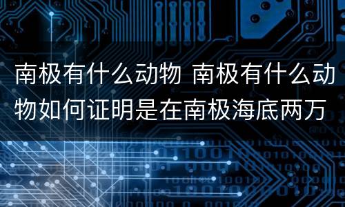南极有什么动物 南极有什么动物如何证明是在南极海底两万里