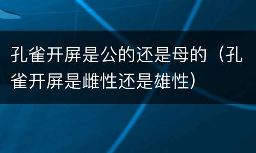 孔雀开屏是公的还是母的（孔雀开屏是雌性还是雄性）