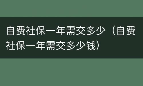 自费社保一年需交多少（自费社保一年需交多少钱）