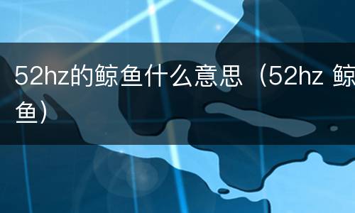 52hz的鲸鱼什么意思（52hz 鲸鱼）