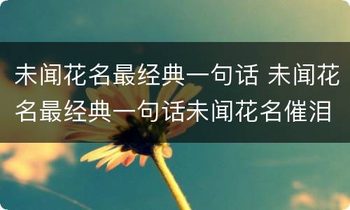 未闻花名最经典一句话 未闻花名最经典一句话未闻花名催泪语录日文