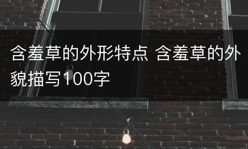含羞草的外形特点 含羞草的外貌描写100字