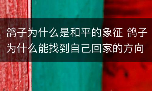 鸽子为什么是和平的象征 鸽子为什么能找到自己回家的方向