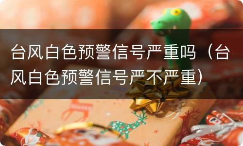 台风白色预警信号严重吗（台风白色预警信号严不严重）