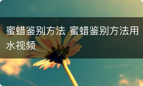 蜜蜡鉴别方法 蜜蜡鉴别方法用水视频