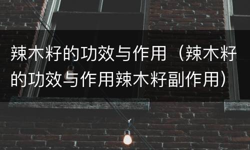 辣木籽的功效与作用（辣木籽的功效与作用辣木籽副作用）