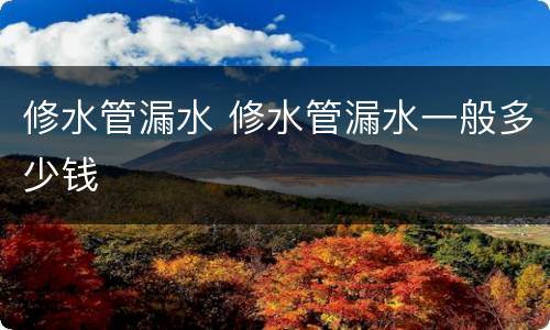 修水管漏水 修水管漏水一般多少钱