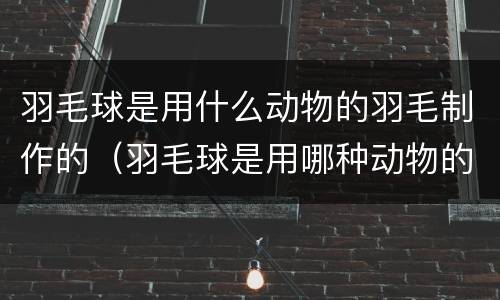 羽毛球是用什么动物的羽毛制作的（羽毛球是用哪种动物的羽毛做成的）