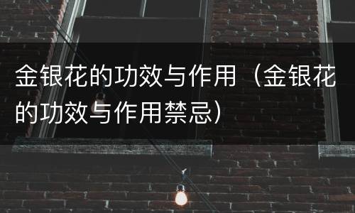 金银花的功效与作用（金银花的功效与作用禁忌）