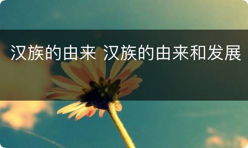 汉族的由来 汉族的由来和发展