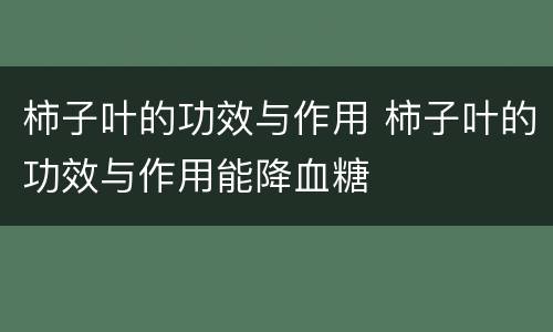 柿子叶的功效与作用 柿子叶的功效与作用能降血糖
