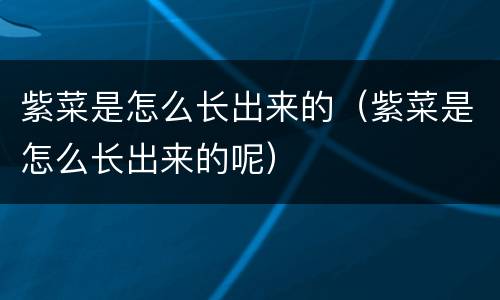 紫菜是怎么长出来的（紫菜是怎么长出来的呢）