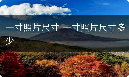 一寸照片尺寸 一寸照片尺寸多少