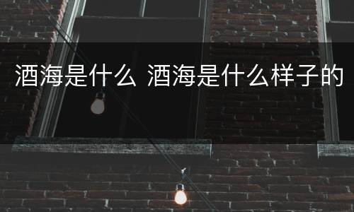 酒海是什么 酒海是什么样子的