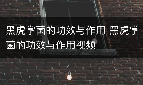 黑虎掌菌的功效与作用 黑虎掌菌的功效与作用视频