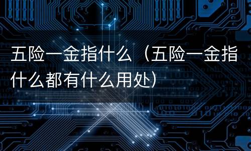 五险一金指什么（五险一金指什么都有什么用处）