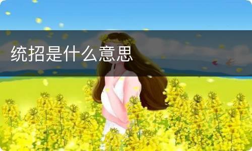 统招是什么意思