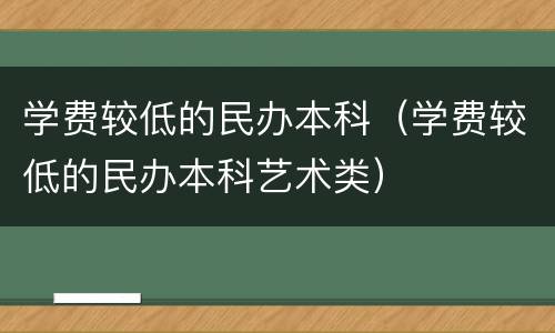 学费较低的民办本科（学费较低的民办本科艺术类）