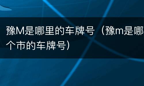 豫M是哪里的车牌号（豫m是哪个市的车牌号）