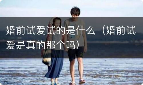 婚前试爱试的是什么（婚前试爱是真的那个吗）